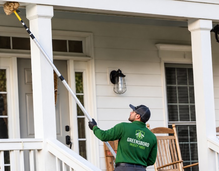 insect expert working in greensboro home