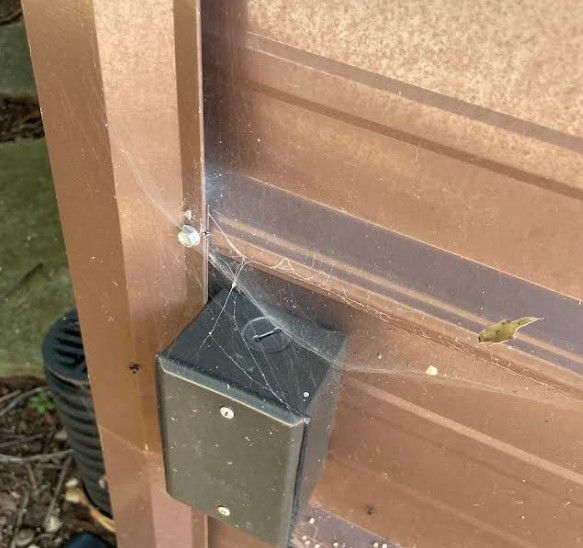 spider web on a greensboro home gate