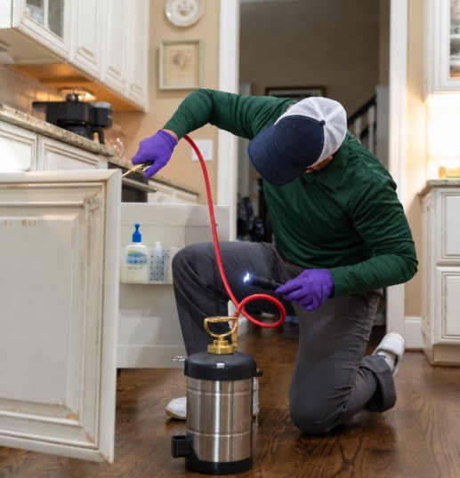 technician spraying kitchen in madison home for mosquitoes